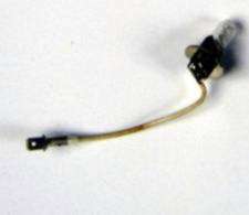 0029 Bulb 36 volt  image